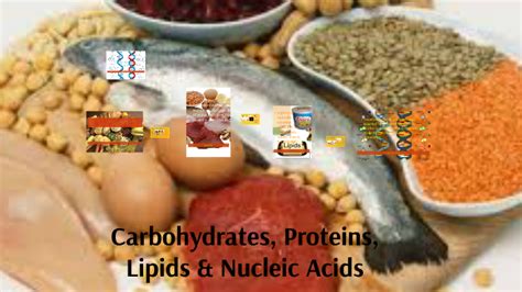 Nucleic Acid Foods