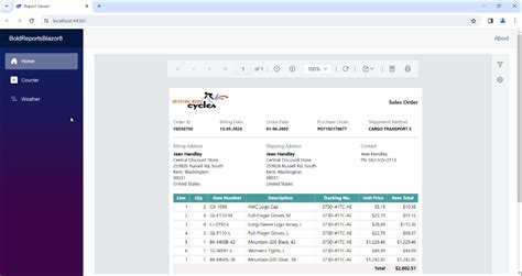 Add Web Viewer In Blazor Application Bold Reports