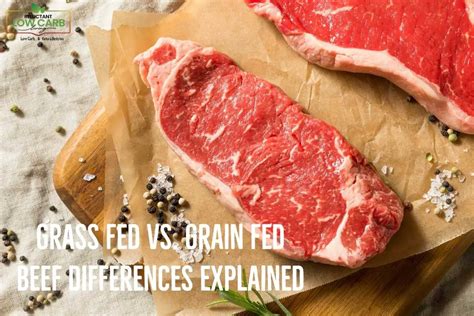 Grass Fed Vs Grain Fed Beef Differences Explained Reluctant Low Carb Life