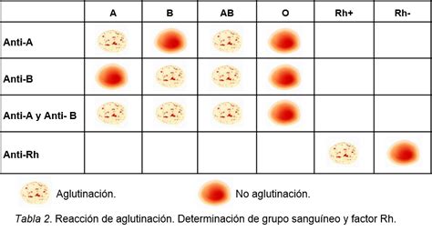 Grado 7 DISFRUTEMOS LAS CIENCIAS NATURALES Profesor MAURIS SARRIA