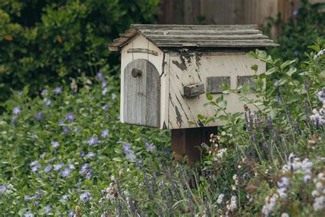 Turning Your Lawn Into A Meadow The Benefits And How To Do It Brightly