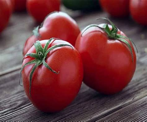Fresh Tomatoes/fresh Farm Harvested Tomatoes - Buy Fresh Tomatoes,Fresh ...