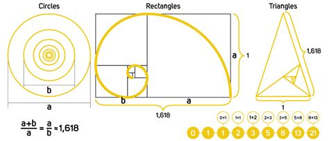 Ntroduire 110 Imagen Rectangle D Or Formule Fr Thptnganamst Edu Vn