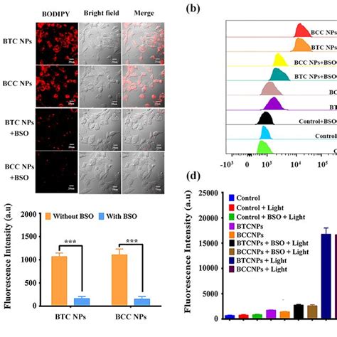 A CLSM Images Of 4T1 Cells After Incubation With The BTC NPs And BCC