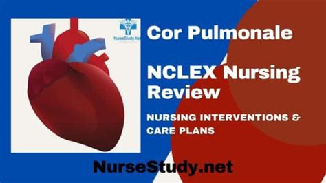 Cor Pulmonale Nursing Diagnosis & Care Plan - NurseStudy.Net