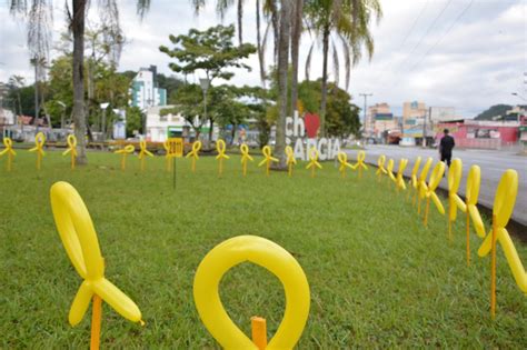 Programa O Da Campanha Maio Amarelo Iniciada Em Blumenau Farol