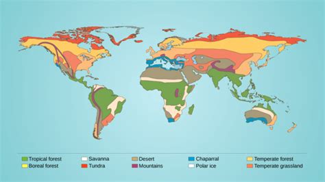 The Magic Of Biomes Exploring Earth S Diversity