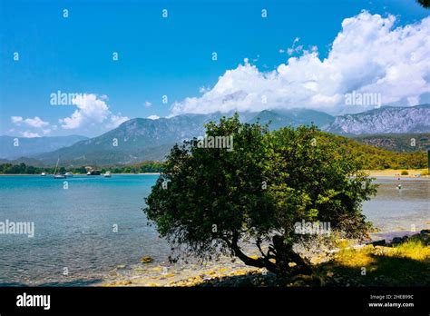 Phaselis Antalya Phaselis Beach And Bey Mountains With Tree In Antalya