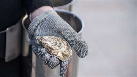 Best Oyster Shucking Gloves: To Shuck Oysters Quickly And Safely