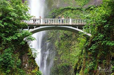 Benson Bridge and Multnomah Falls - Oregon Photography