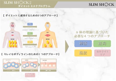 エステのカウンセリングで重要なポイントとは？流れごとのコツも解説 株式会社b Models