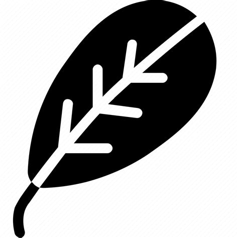 Blackthorn, leaf, nature, ecology, botany, biology icon - Download on Iconfinder