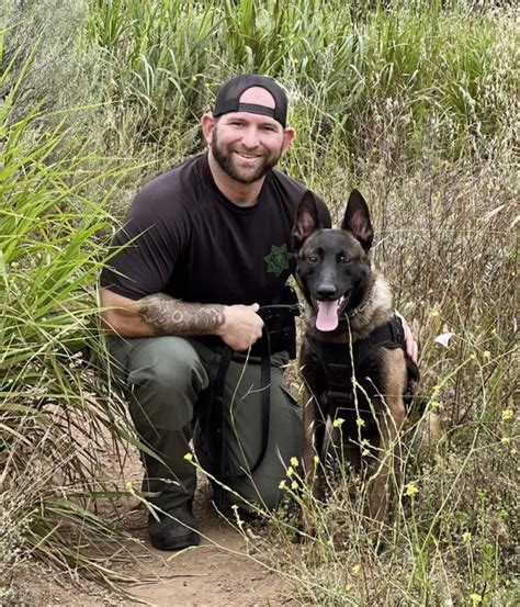 Jefferson County Sheriffs Office In Colorado Has Two New K 9 Units