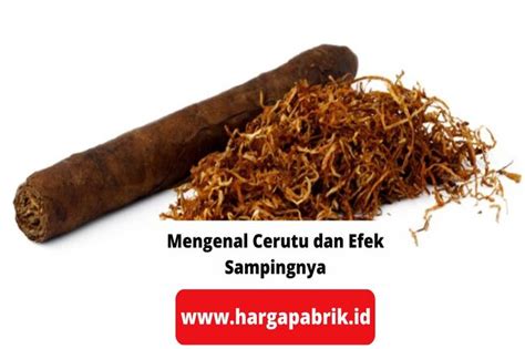 Mengenal Cerutu dan Efek Sampingnya