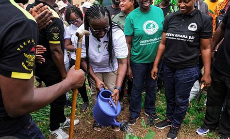 KNUST Alumni Association Launches The KNUST Anniversary Garden At Mamfe ...