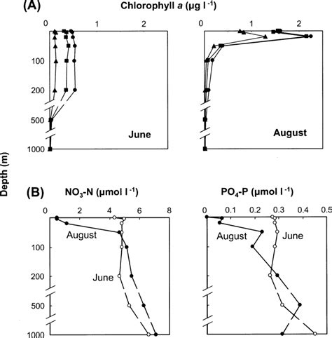 A Vertical Profiles Of Chlorophyll A Concentrations In Unfiltered Download Scientific Diagram