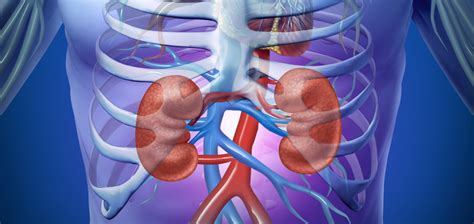 Acute kidney injury: Causes, phases, and early detection