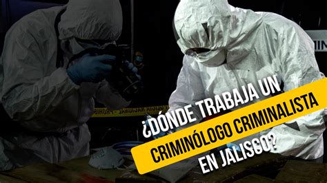 Donde trabaja un Criminólogo Criminalista YouTube