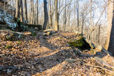 Monte Sano State Park Trails Winter Hiking And Biking