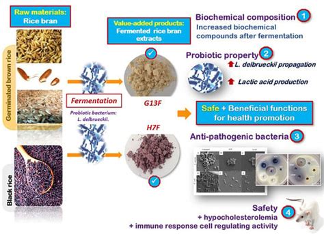 Foods Free Full Text Prebiotic Antipathogenic Bacteria And Hypocholesterolemia Properties