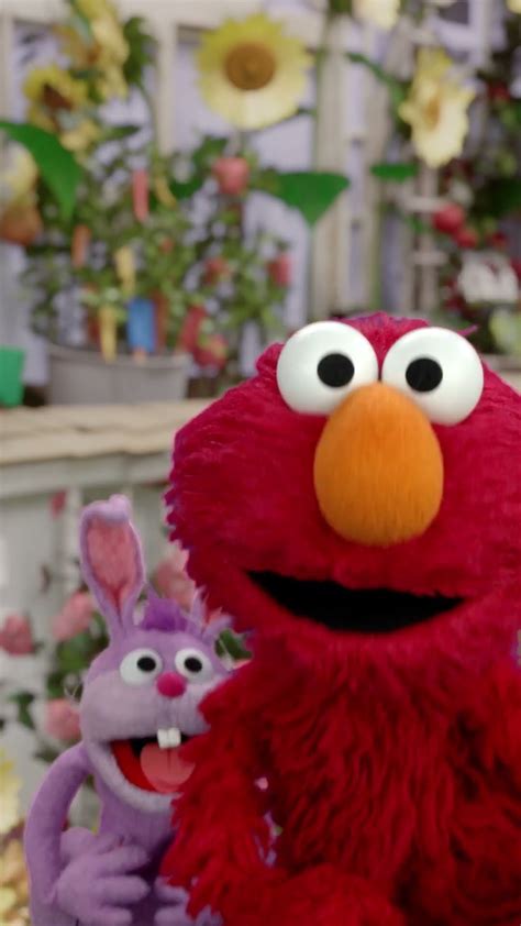 How Do You Rewrite the ABCs? The Secrets of Songwriting on ‘Sesame ...