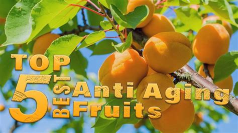 Top 5 Best Anti Aging Fruits 5 Best Anti Aging Fruits And Food For