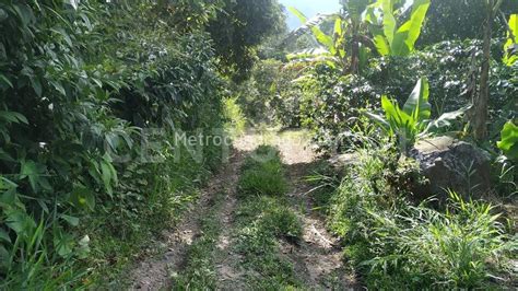 Venta De Lote O Casalote En Cachipay Vereda El Naranjal Via La Mesa