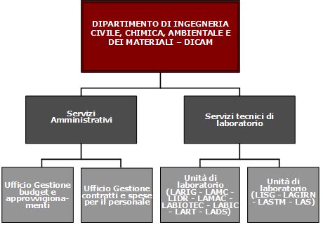 Assetto Organizzativo E Organigramma Ingegneria Civile Chimica