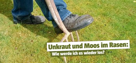 Moos im Rasen Jetzt Unkraut bekämpfen BAUHAUS