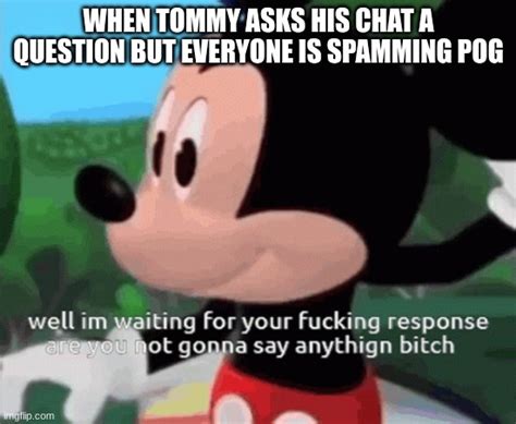 Tommyinnits Chat Be Like Imgflip