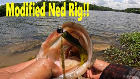 Catching More Bass With Modified Ned Rig And Weighted Bobber