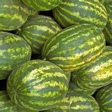 Watermelon Seeds (Heirloom) | Shop 18 Varieties | Eden Brothers