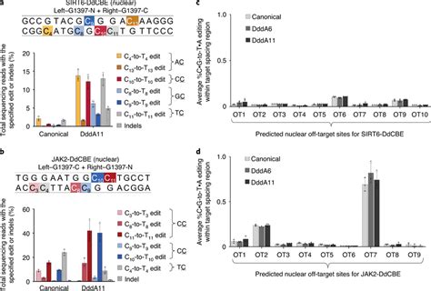 Evolved DddA Variants Mediate Mitochondrial Base Editing In Multiple