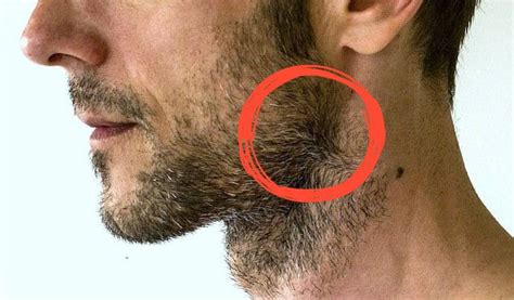 7 Ways to Manage Beard Cowlicks and Swirls Like a Pro (Guide)