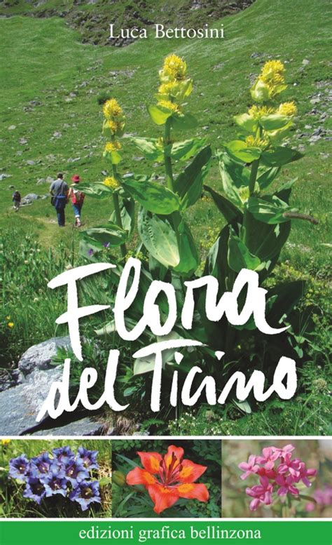 Flora Del Ticino Volume 1 Associazione Vivere La Montagna