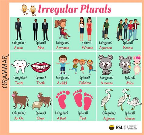 Plural Of Irregular Nouns