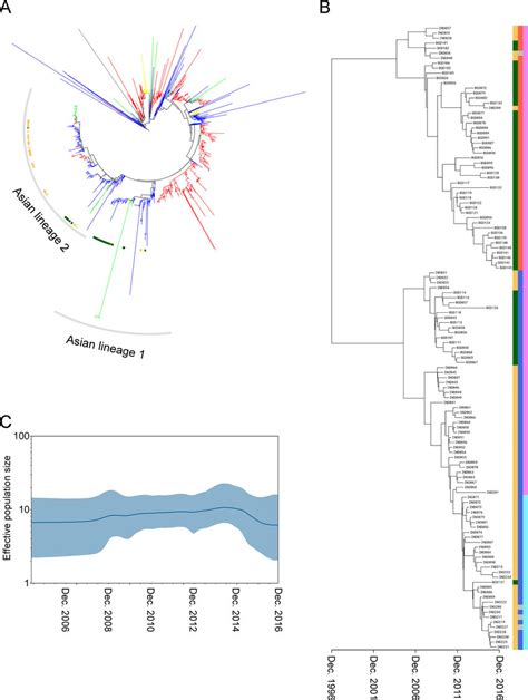 Phylogenetic And Phylodynamic Analysis Of V Cholerae O1 A Download Scientific Diagram