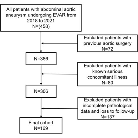 Computed Tomography Angiography Cta Scans Of The Abdominal Aortic