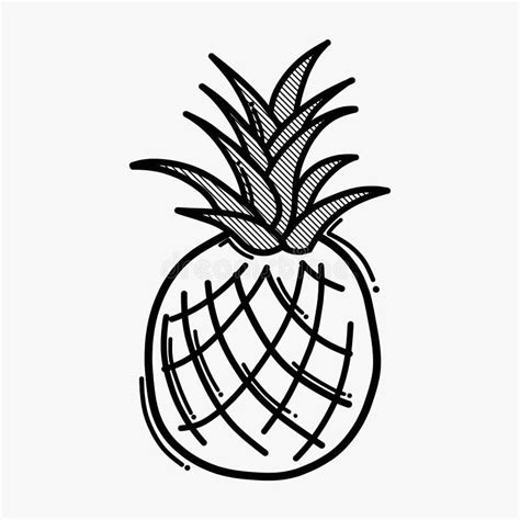 Pineapple Doodle Vector Icon Drawing Sketch Illustration Hand Drawn