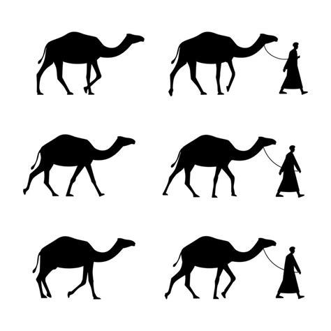 black camel silhouette 26452371 Vector Art at Vecteezy