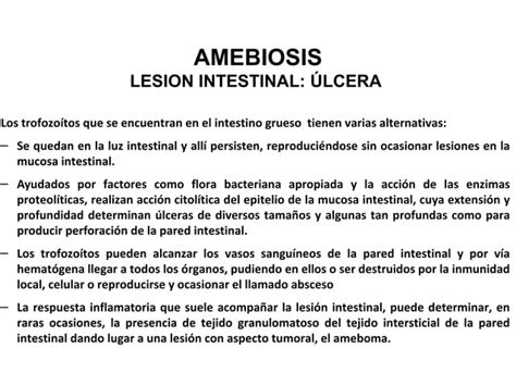 Amebas Intestinales Amebas Ppt Descarga Gratuita