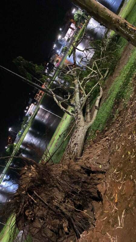 Temporal Forte Caiu Agora Noite Em Itapetinga Arrancando Rvores