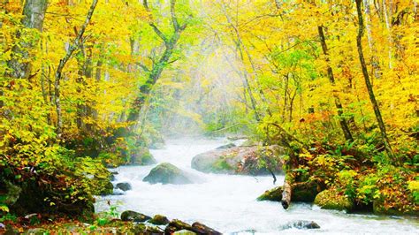 紅葉の奥入瀬渓流 Autumn Colors Oirase Stream Aomori Japan 【4k Uhd】 癒し 日本の風景 The