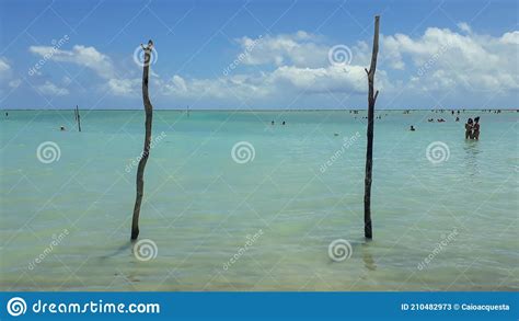 Natural Beach Pools in Maragogi, Alagoas, Brazil. Turquoise Waters on ...