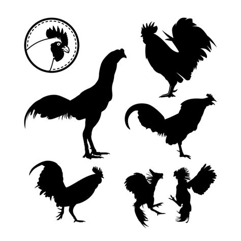 gallo pollo setinspiración logo silueta gallo cuervo gallo de pelea