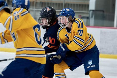 Lyons Township Hockey Club