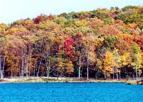 Delaware Water Gap Fall Foliage Photo Gallery