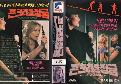 Seoul Korea Vintage Vhs Cover Art For Women In Prison Cult Fave The