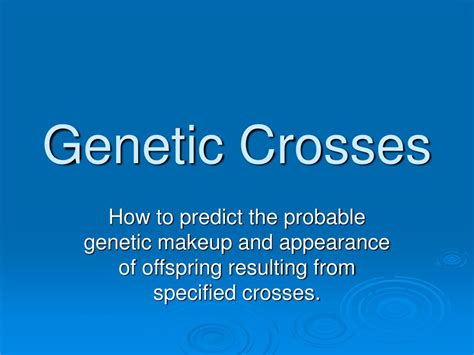 Ppt Genetic Crosses Powerpoint Presentation Free Download Id 4145081