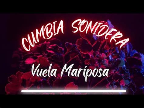 Cumbia Sonidera Vuela Mariposa Los Llayras Youtube